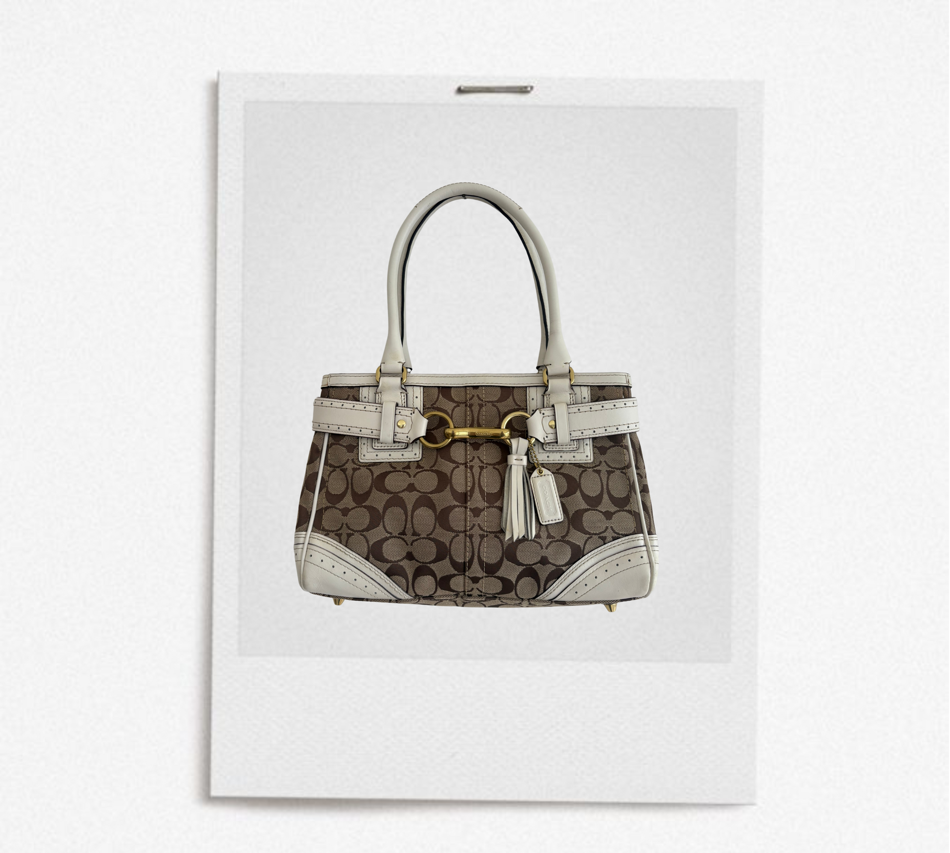 COACH 2011 HAMPTON SIGNATURE CARRYALL TOTE BAG